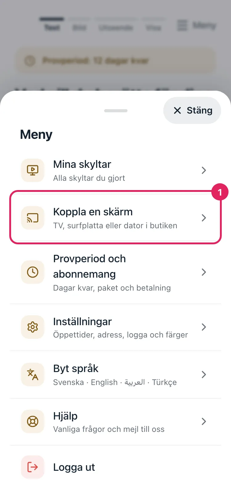 Menyn i appen. Raden Koppla en skärm är markerad.